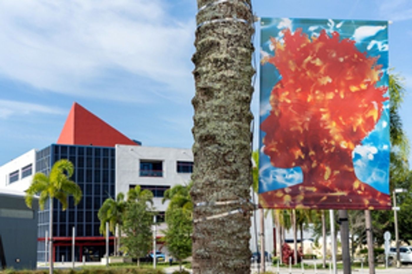 Museum of Contemporary Art, North Miami to Present 'After the Rain Comes Light: Portraits of Resilience'  Image