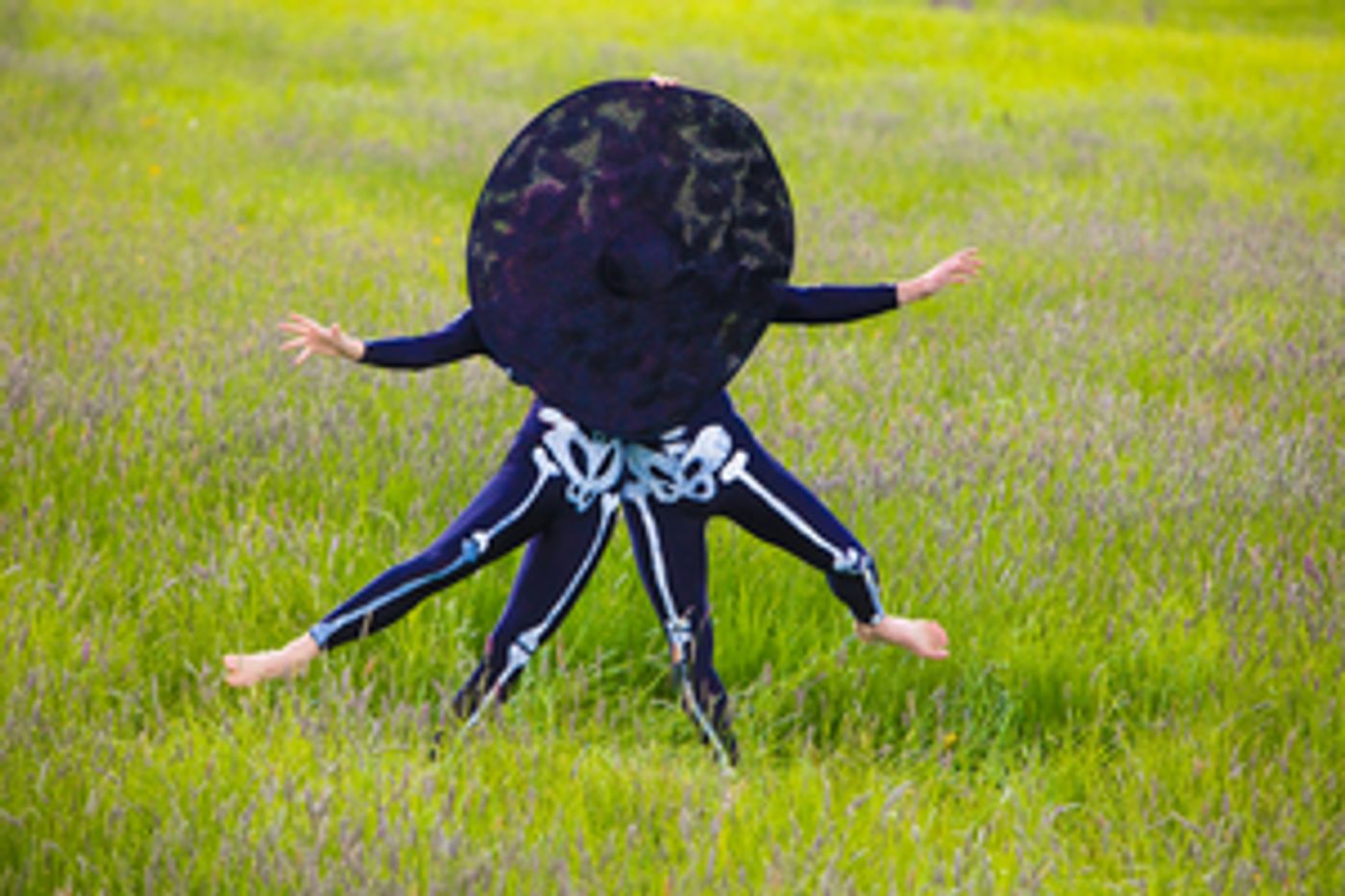 Pilobolus to Premiere BLOOM: A JOURNEY Roving Car Safari Performance  Image