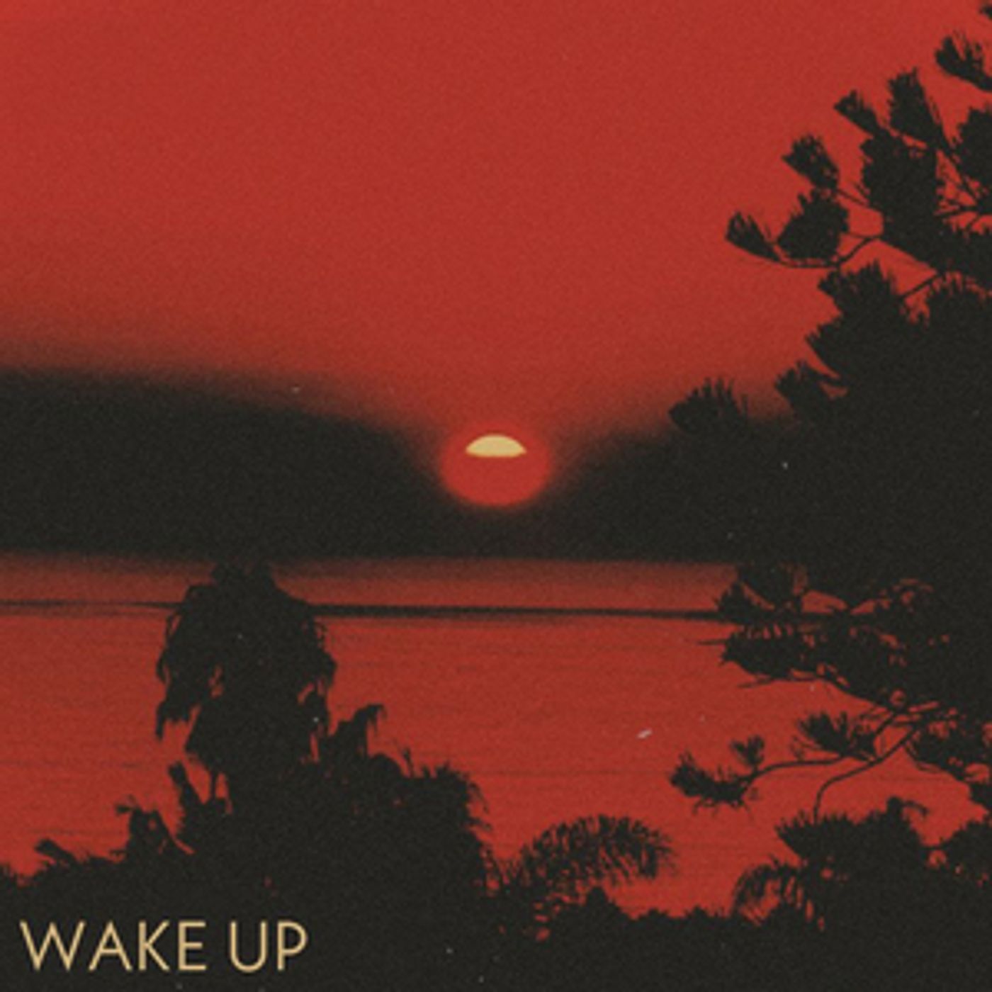 Elektric Voodoo Releases New Single 'Wake Up'  Image