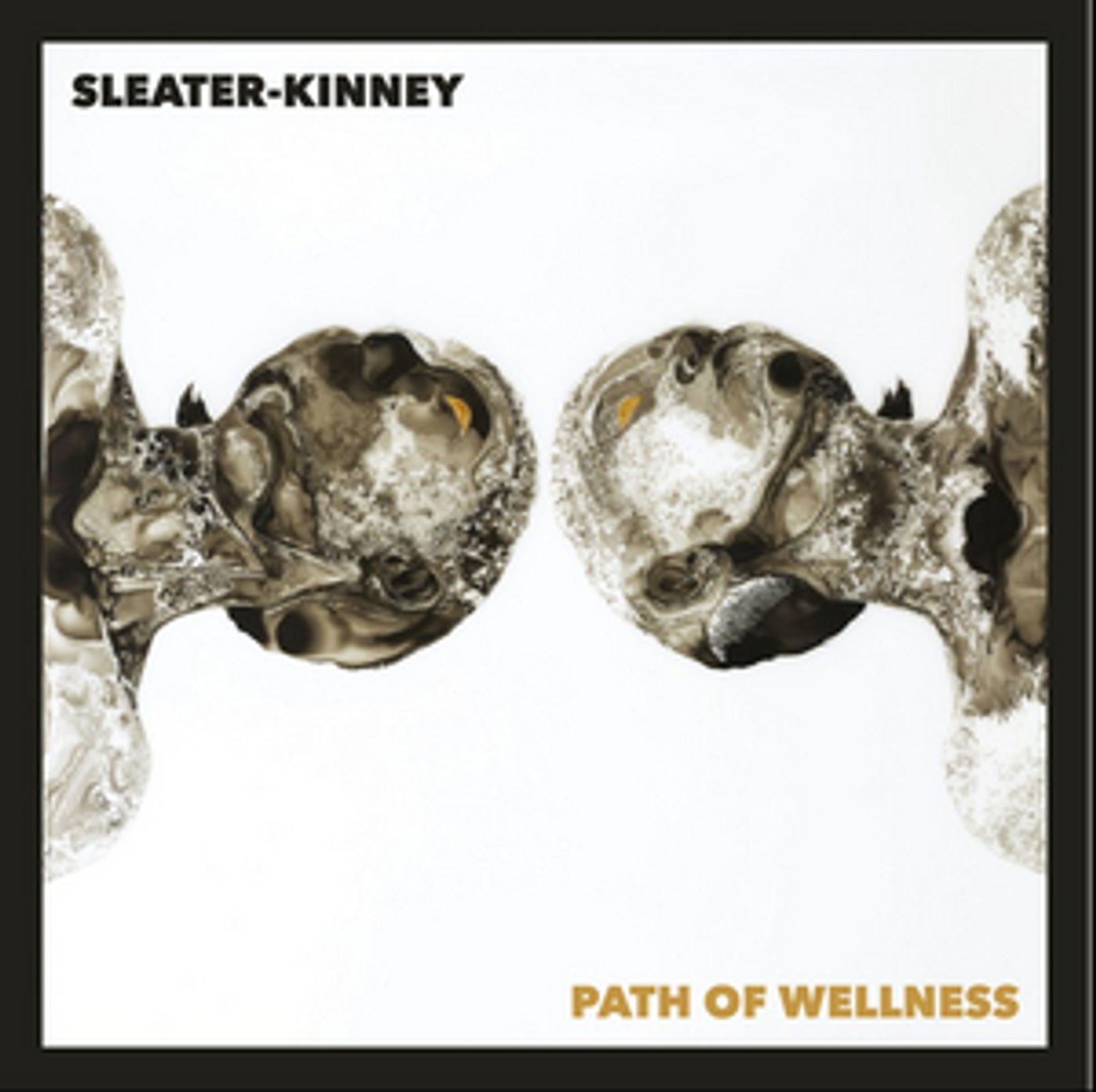Sleater-Kinney Share New Track And Video For 'High In The Grass'  Image