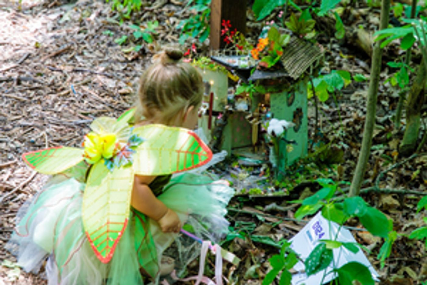 Artpark & Company Announces Eleventh Annual FAIRY HOUSE FESTIVAL Artpark & Company Announces Eleventh Annual FAIRY HOUSE FESTIVAL Image