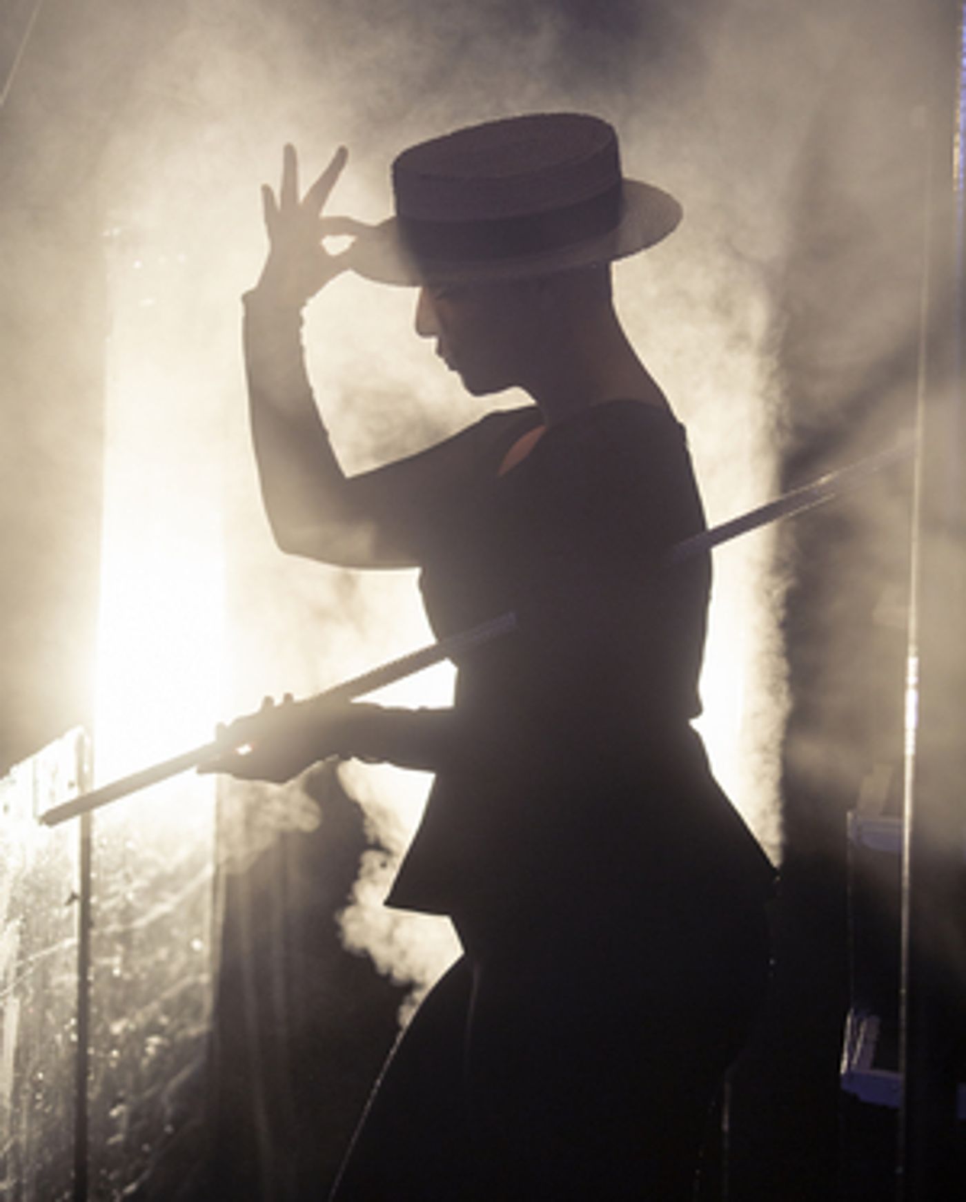 PIPPIN Will Be Performed Live and Livestreamed by The Seacoast Repertory Theatre This Month PIPPIN Will Be Performed Live and Livestreamed by The Seacoast Repertory Theatre This Month Image