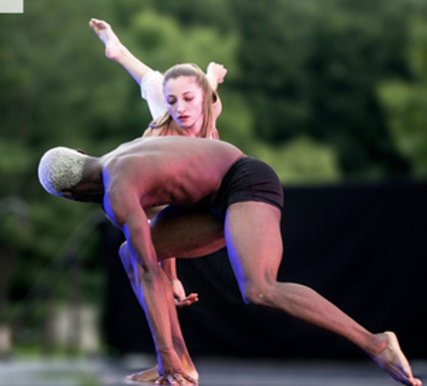 Sonia Plumb Dance Company's DANCE IN THE PARKS Will Bring Free Classes and Performances To Hartford's Park System Sonia Plumb Dance Company's DANCE IN THE PARKS Will Bring Free Classes and Performances To Hartford's Park System Image