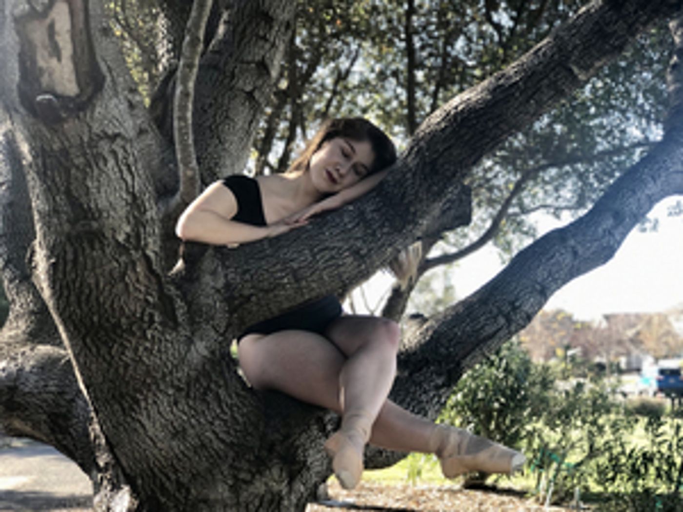 Student Blog: Just a Dream  Image