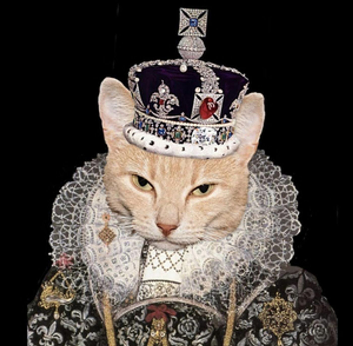 MNM Theatre Company Partners With King Of Cats Theatre Company to Bring Live Theatre to Families and Schools MNM Theatre Company Partners With King Of Cats Theatre Company to Bring Live Theatre to Families and Schools Image