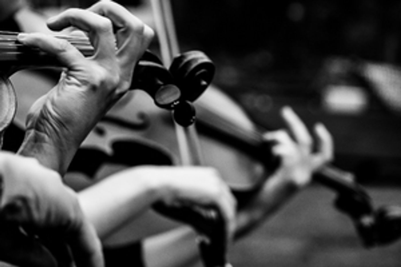 DSM to Present Musicians Of The Dallas Symphony Orchestra DSM to Present Musicians Of The Dallas Symphony Orchestra Image