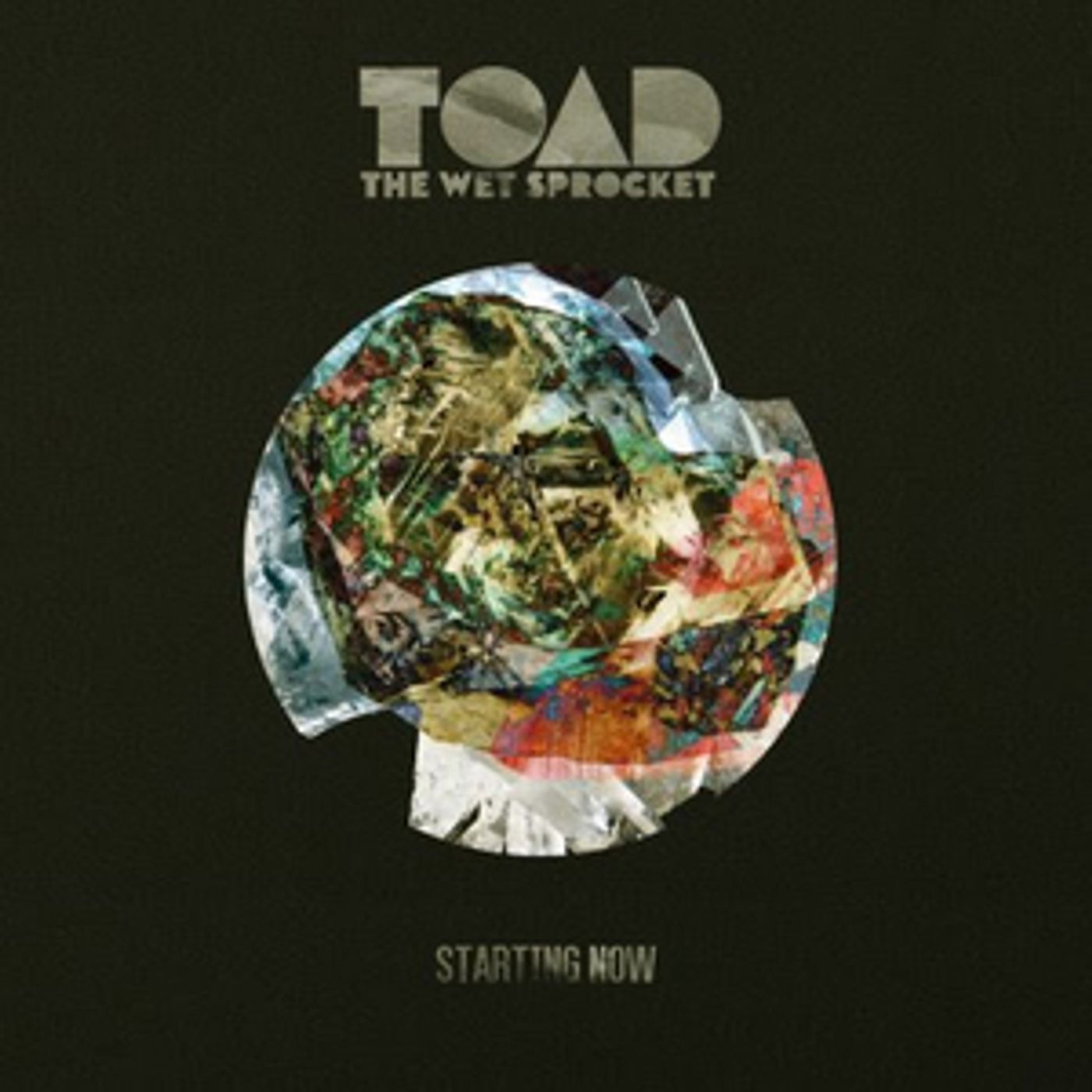 Toad the Wet Sprocket Announces Highly Anticipated New Studio Album 'STARTING NOW' Toad the Wet Sprocket Announces Highly Anticipated New Studio Album 'STARTING NOW' Image