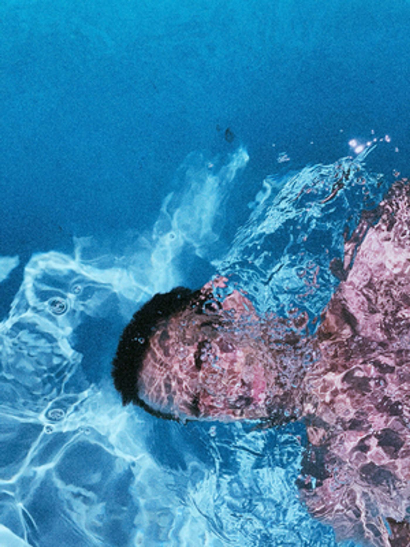 Dolfiin Alexander Shares 'High Noon' Video, Announces Debut Album  Image