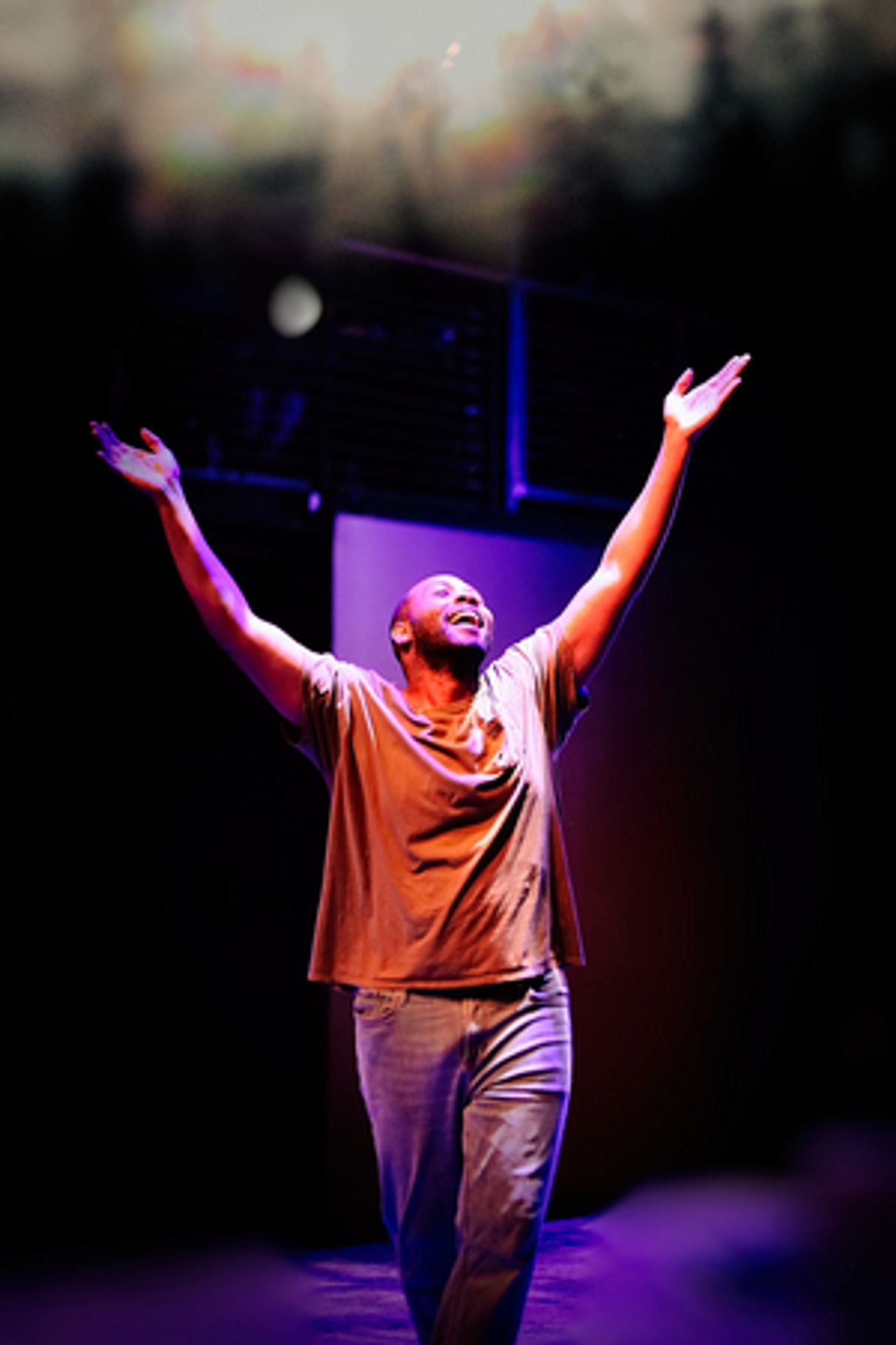 Review: Burning Coal Theatre Company's NINE LIVES  Image