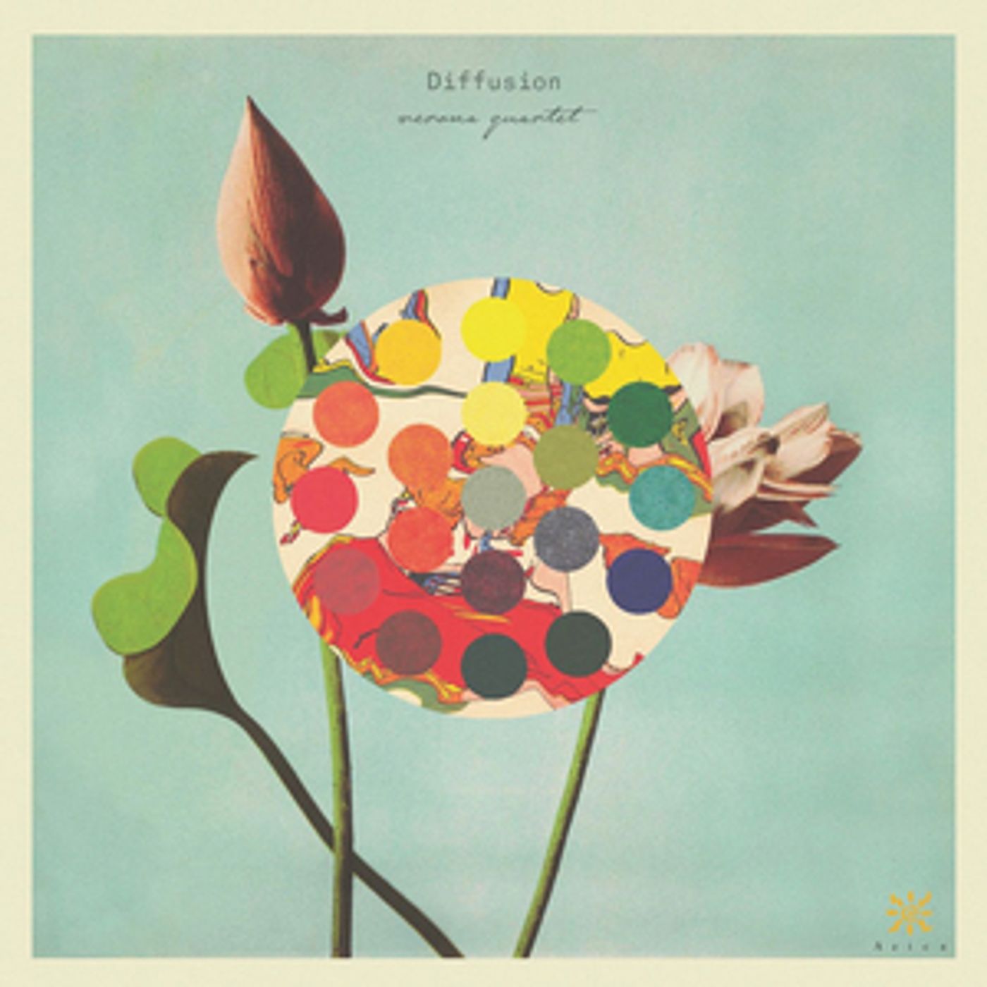 Verona Quartet Releases Debut Album DIFFUSION Verona Quartet Releases Debut Album DIFFUSION Image