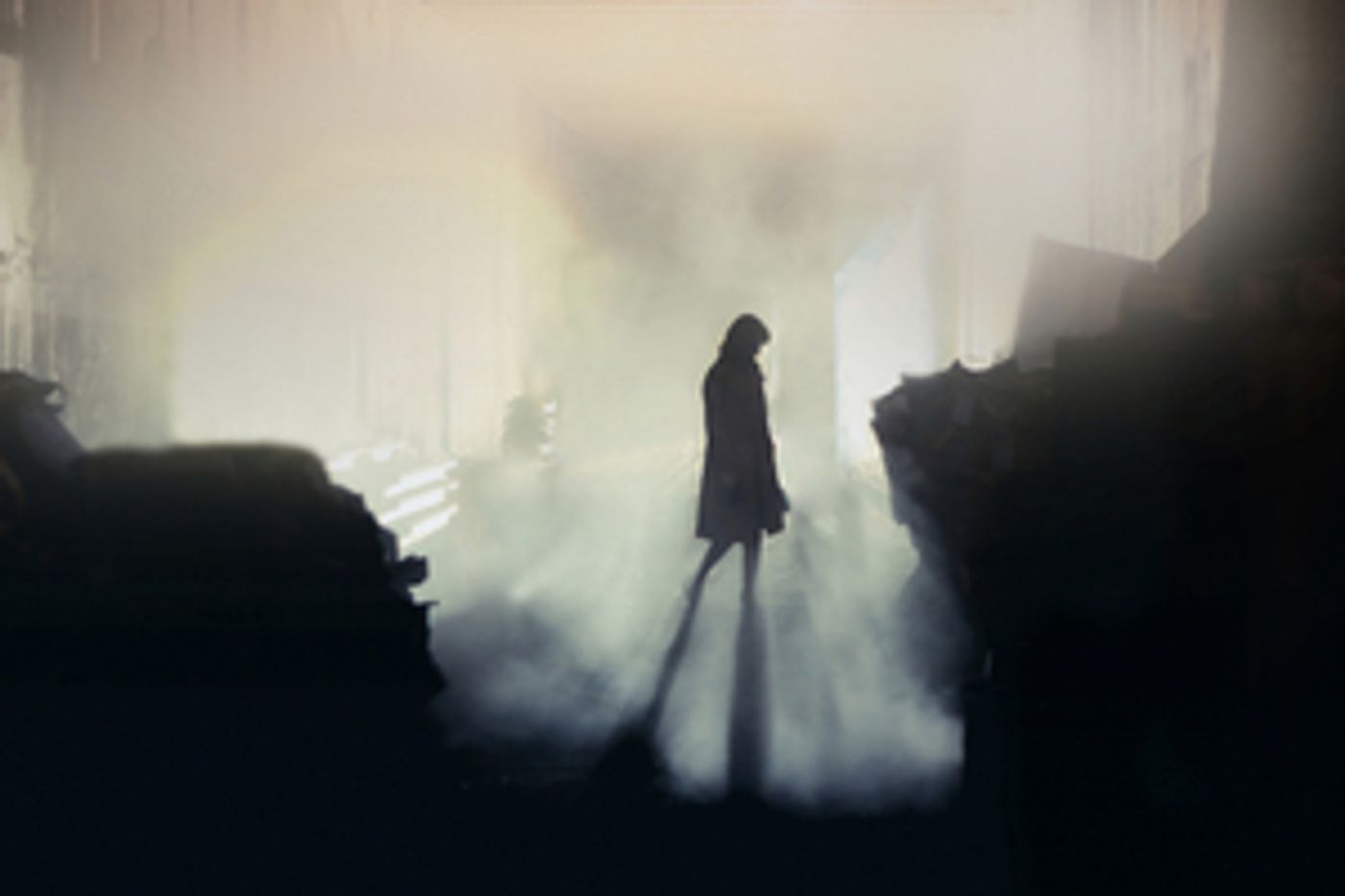 New Staging of DIE WALKURE Will Be Staged at Hackney Empire This Summer  Image