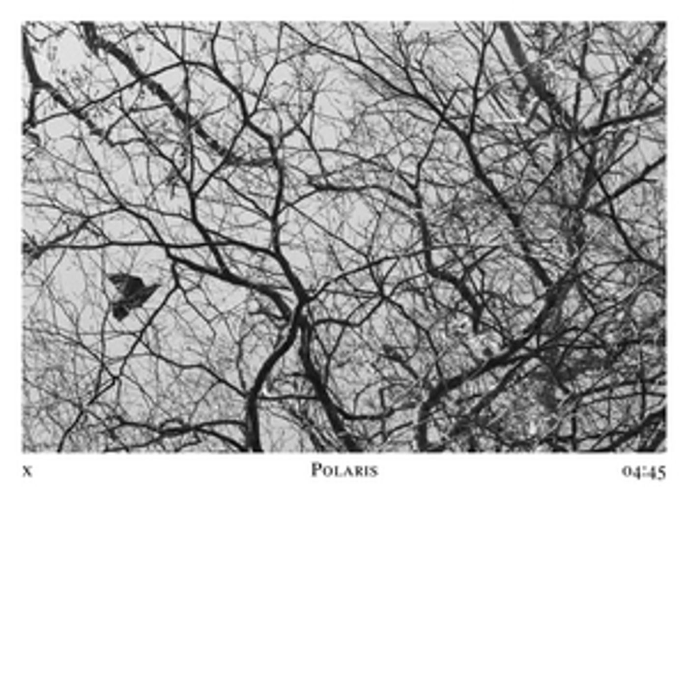 Damon Albarn Releases New Track 'Polaris' Damon Albarn Releases New Track 'Polaris' Image