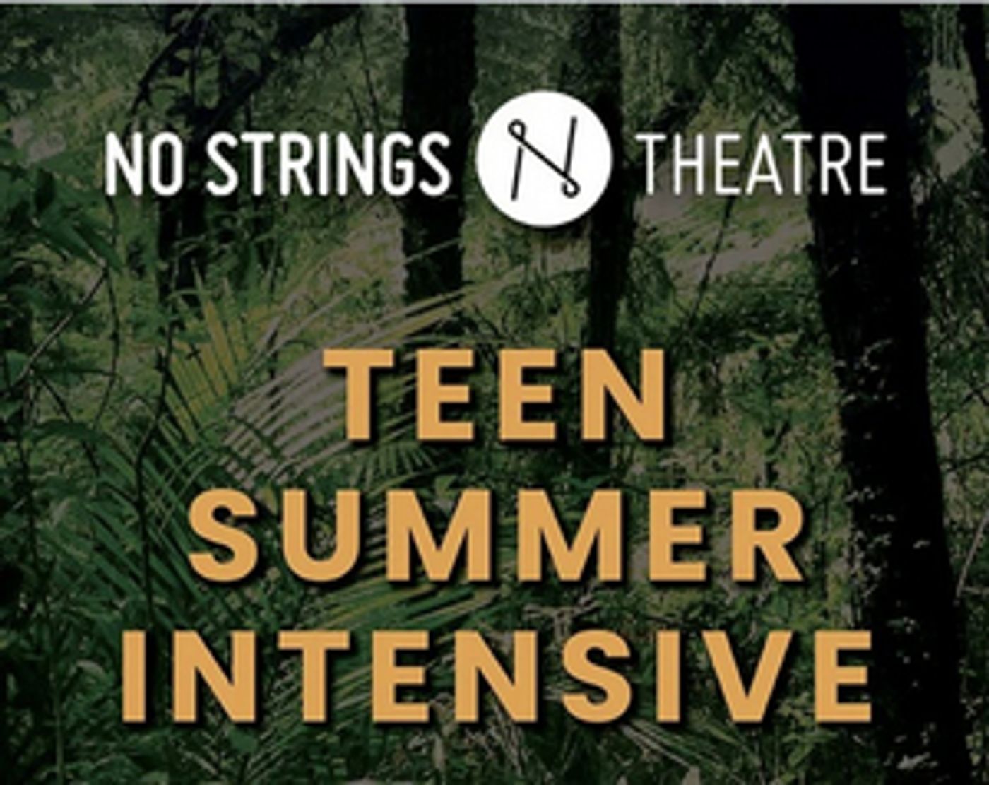 Register Now for No Strings Theatre's Teen Summer Music Theatre Intensive!  Image