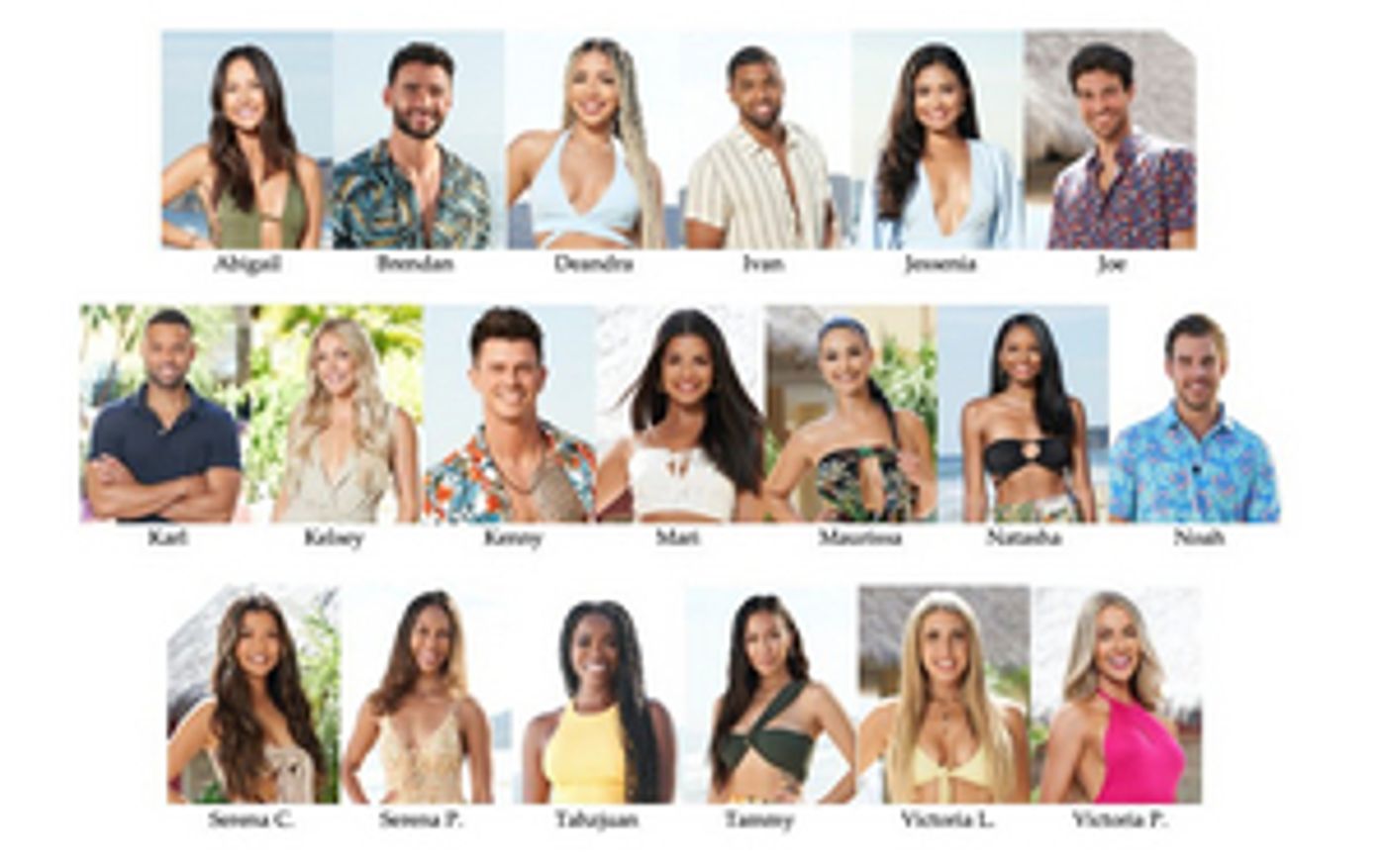 The New Cast of BACHELOR IN PARADISE Is Revealed  Image