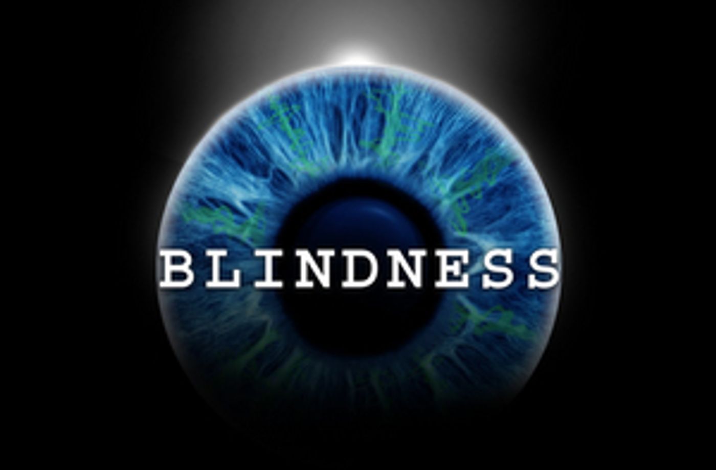 BLINDNESS Begins Final Two Weeks at the Daryl Roth Theatre  Image