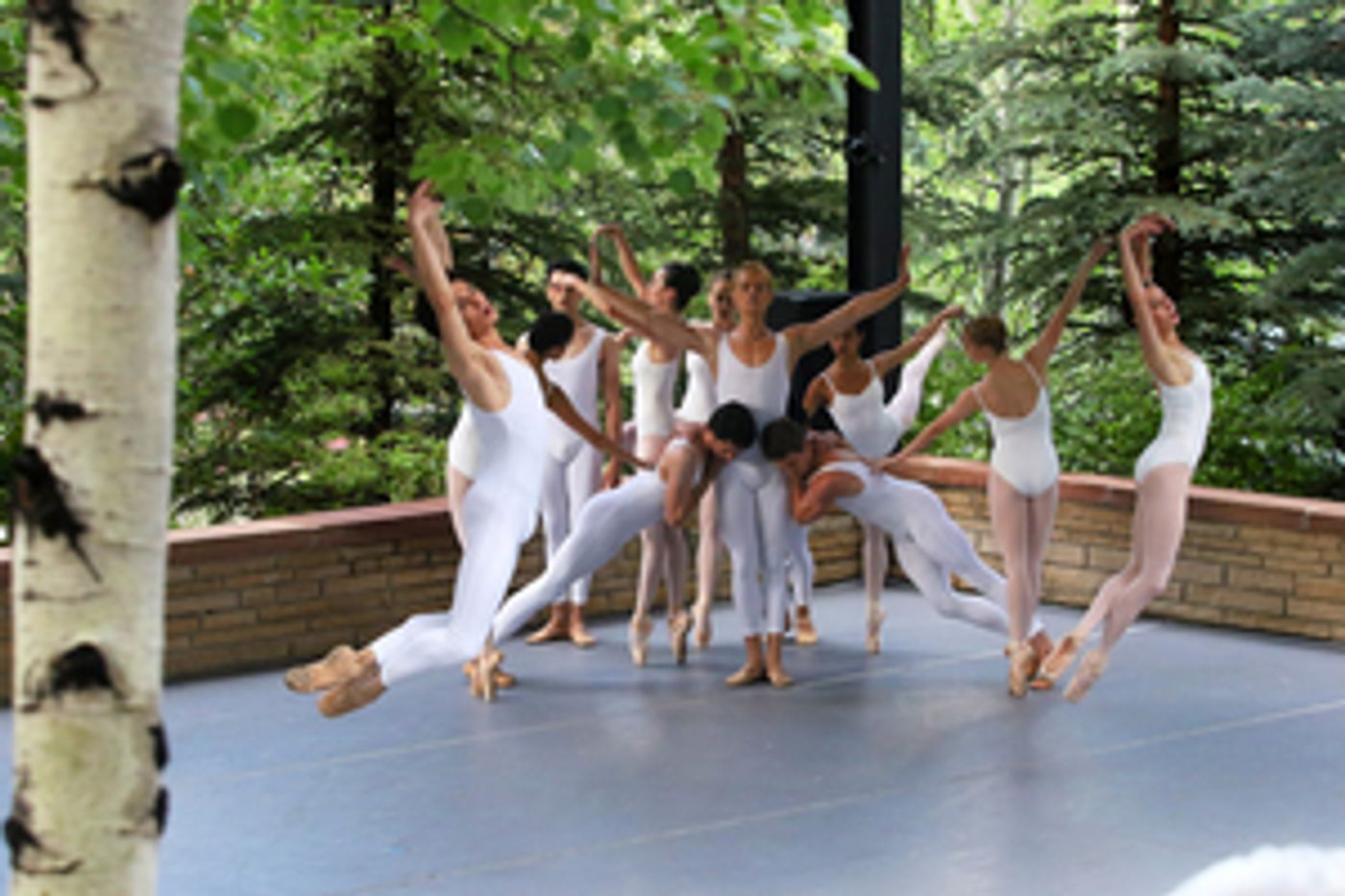 Renée Elise Goldsberry to Host American Ballet Theatre's 2021 Summer Celebration, Honoring Jennifer Garner & Dr. Robert Galvin  Image