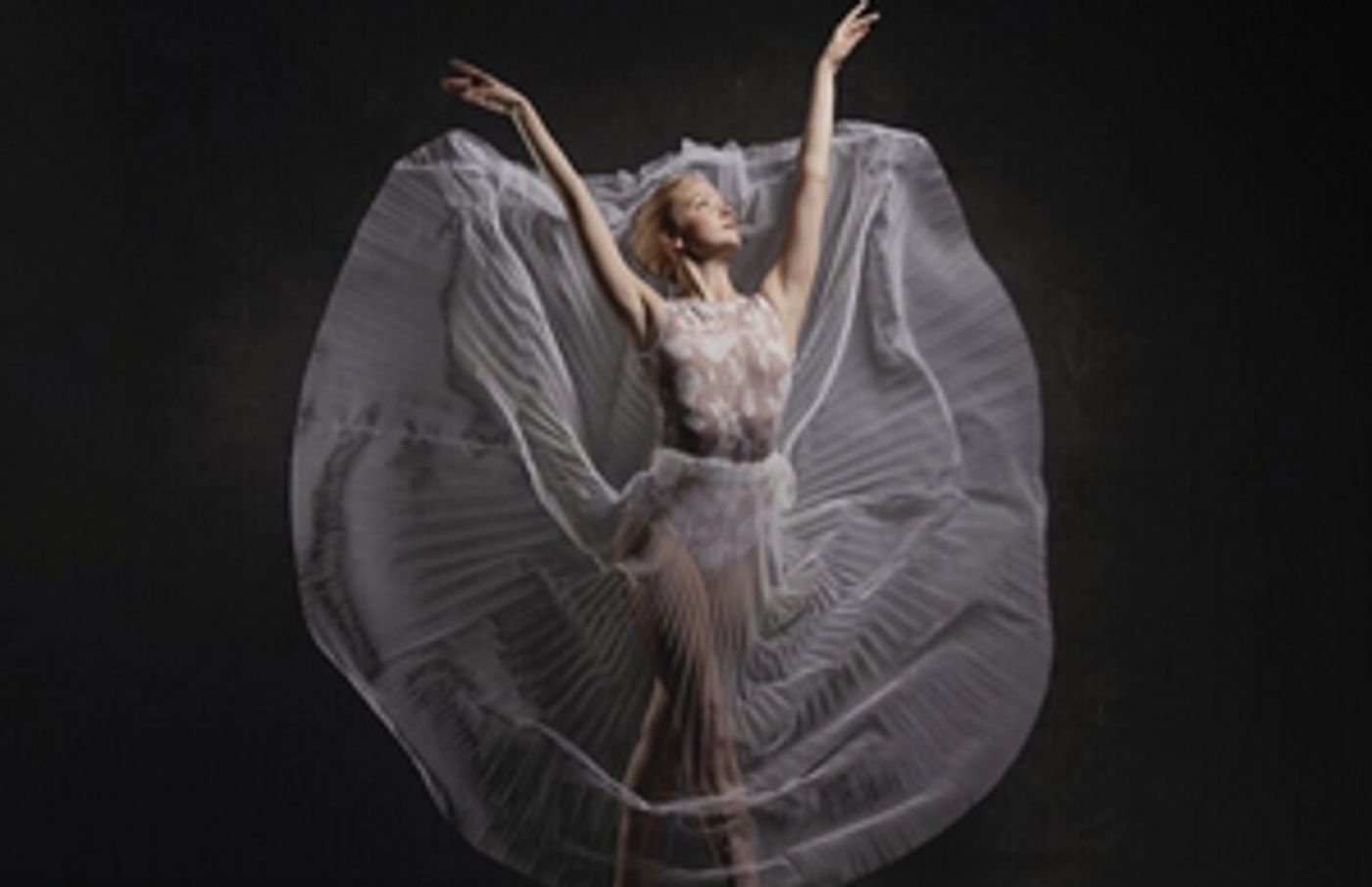 Indianapolis Ballet Announces Full 2021-22 Season Lineup Indianapolis Ballet Announces Full 2021-22 Season Lineup Image