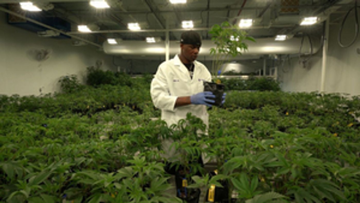 All-New Episode of REAL SPORTS WITH BRYANT GUMBEL Debuts July 27  Image