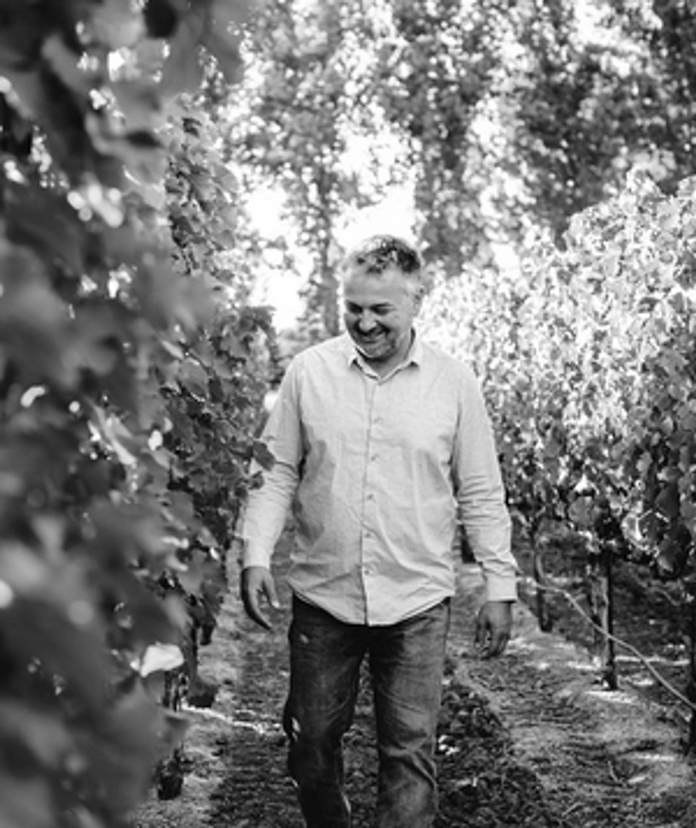The Herzog Family Welcomes David Galzignato as Senior Winemaker and Director of Winemaking Operations  Image
