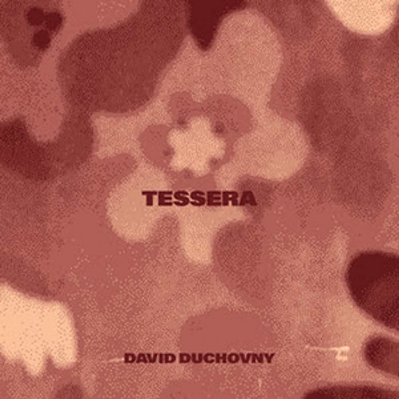 David Duchovny Releases New Single 'Tessera'  Image