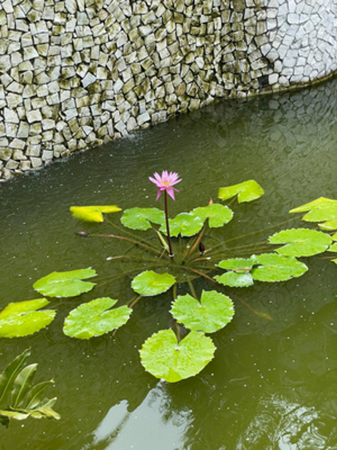 Student Blog: Being Vulnerable.  Image