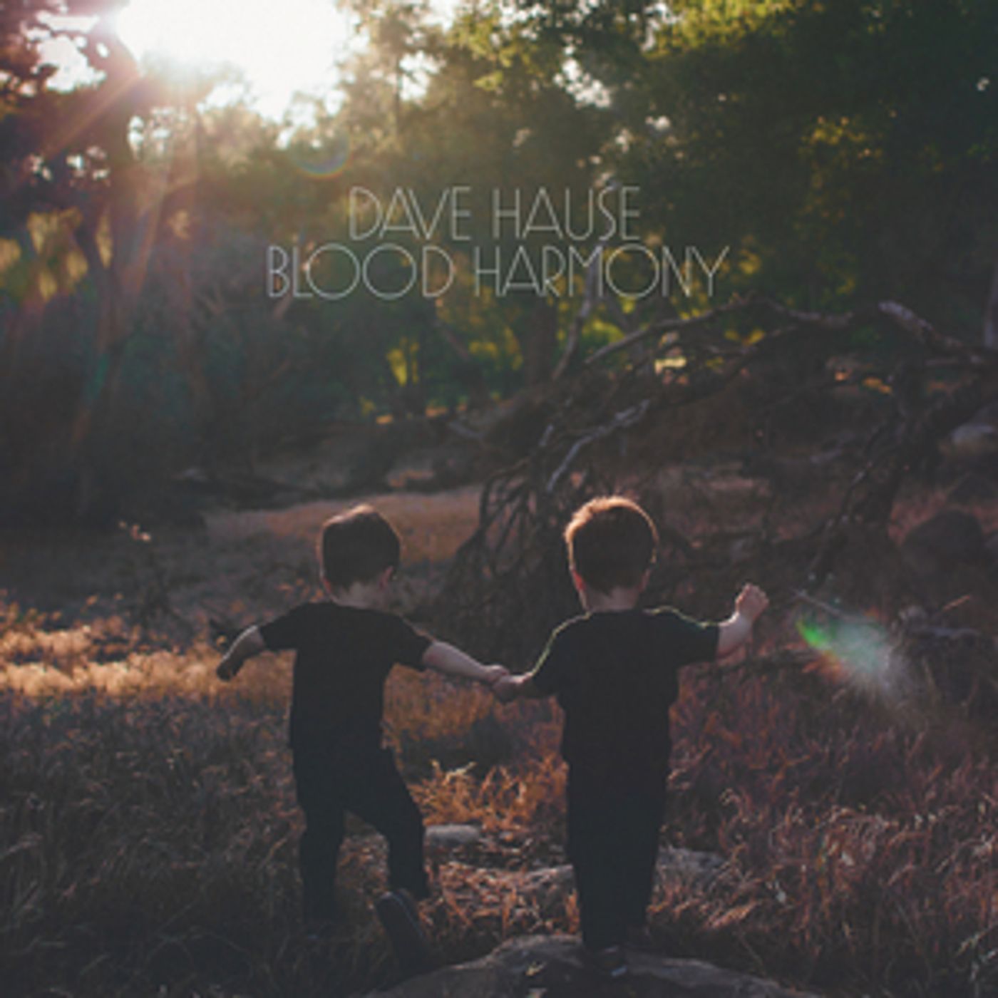 Dave Hause Announces New LP 'Blood Harmony'  Image