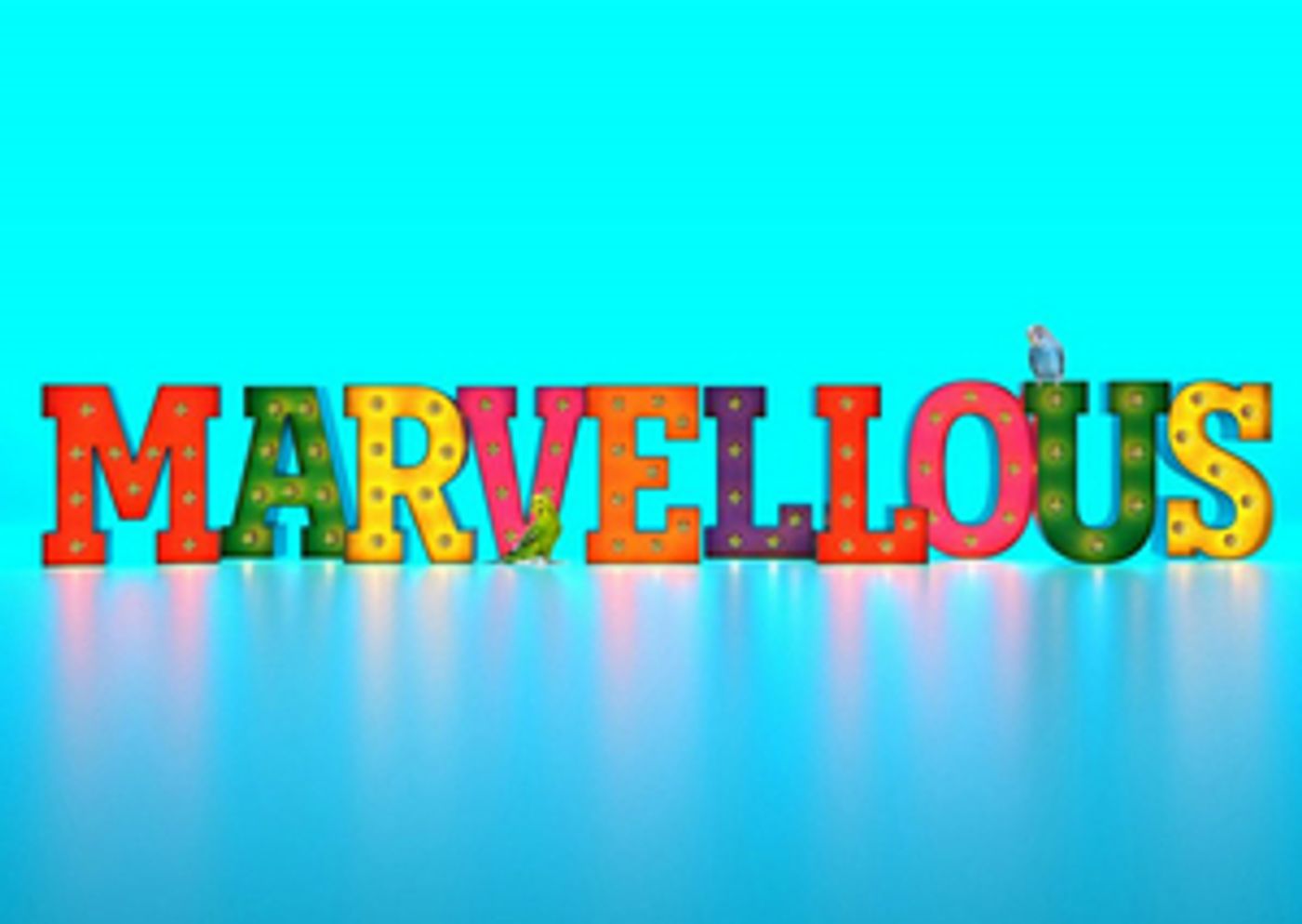 New Vic Theatre Postpones Production of MARVELLOUS New Vic Theatre Postpones Production of MARVELLOUS Image