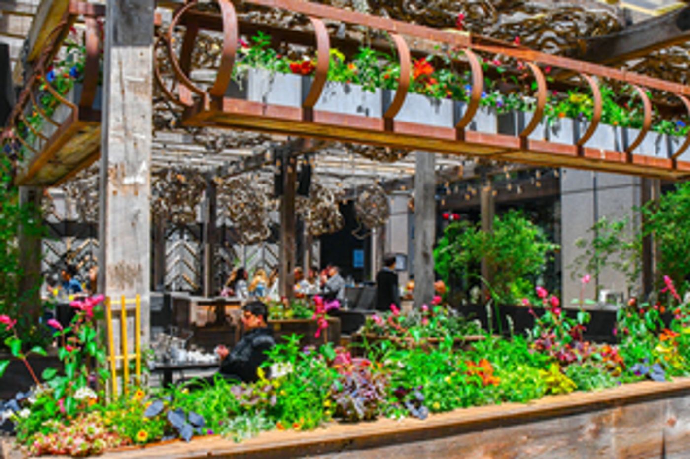 Review: HARPER'S GARDEN in Philadelphia for All Your Brunch Cravings  Image