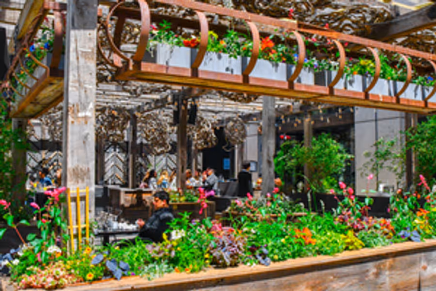 Review: HARPER'S GARDEN in Philadelphia for All Your Brunch Cravings Image