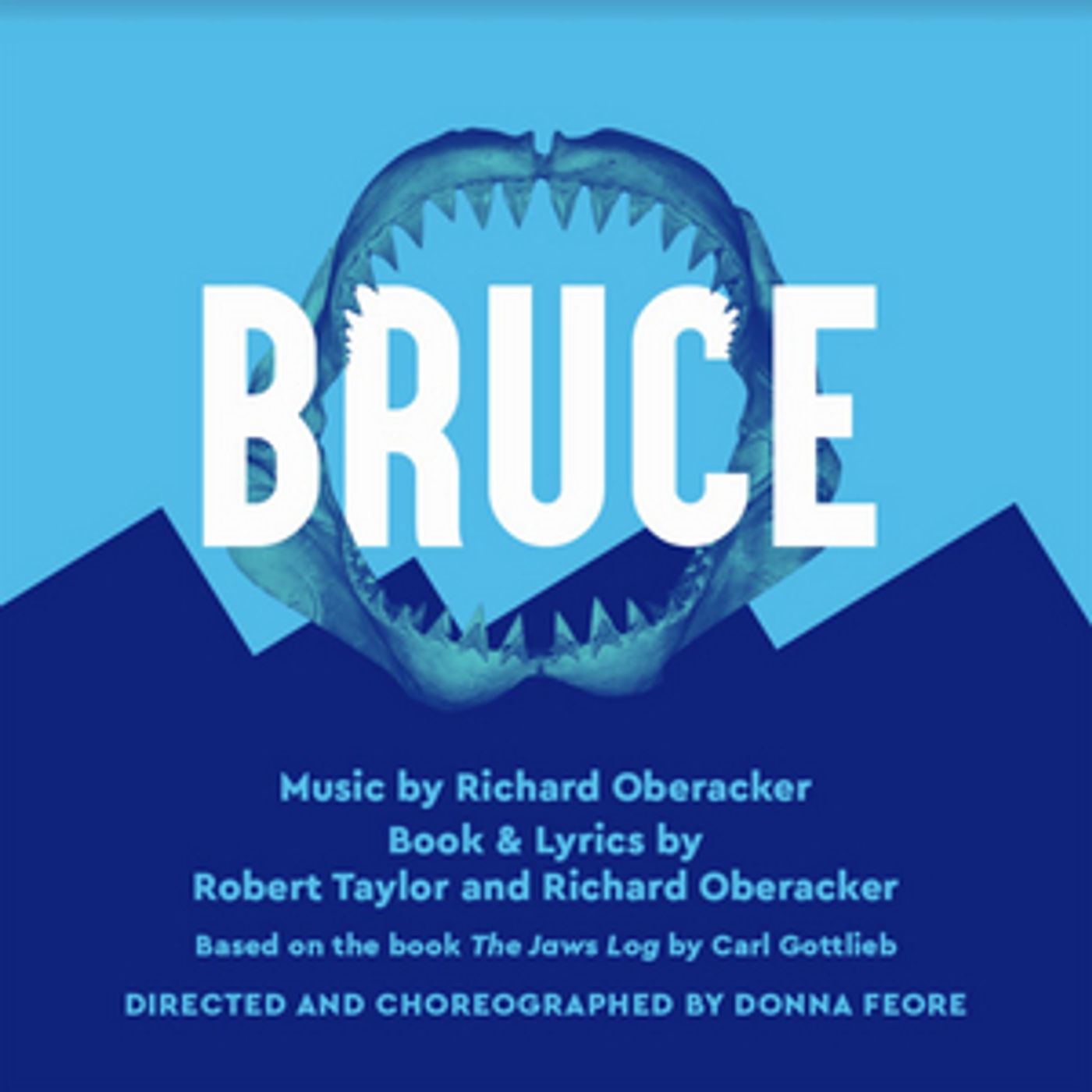 BRUCE, New Musical Based On THE JAWS LOG, to Have World Premiere At Seattle Rep Summer 2022  Image