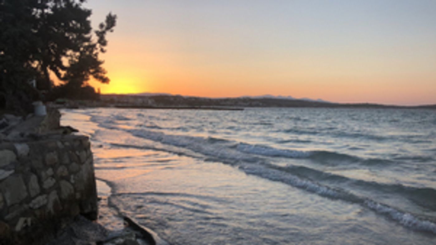 Student Blog: How To Go Back When You Don't Know How  Image