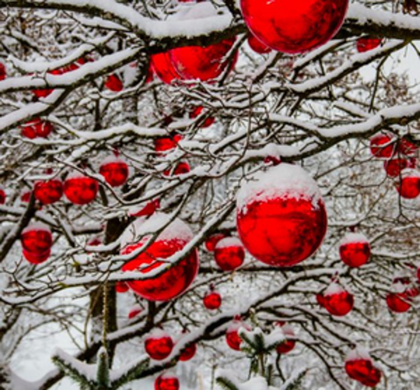 Student Blog: What We Know About 'Spirited': The Soon-to-Be Holiday Favorite  Image