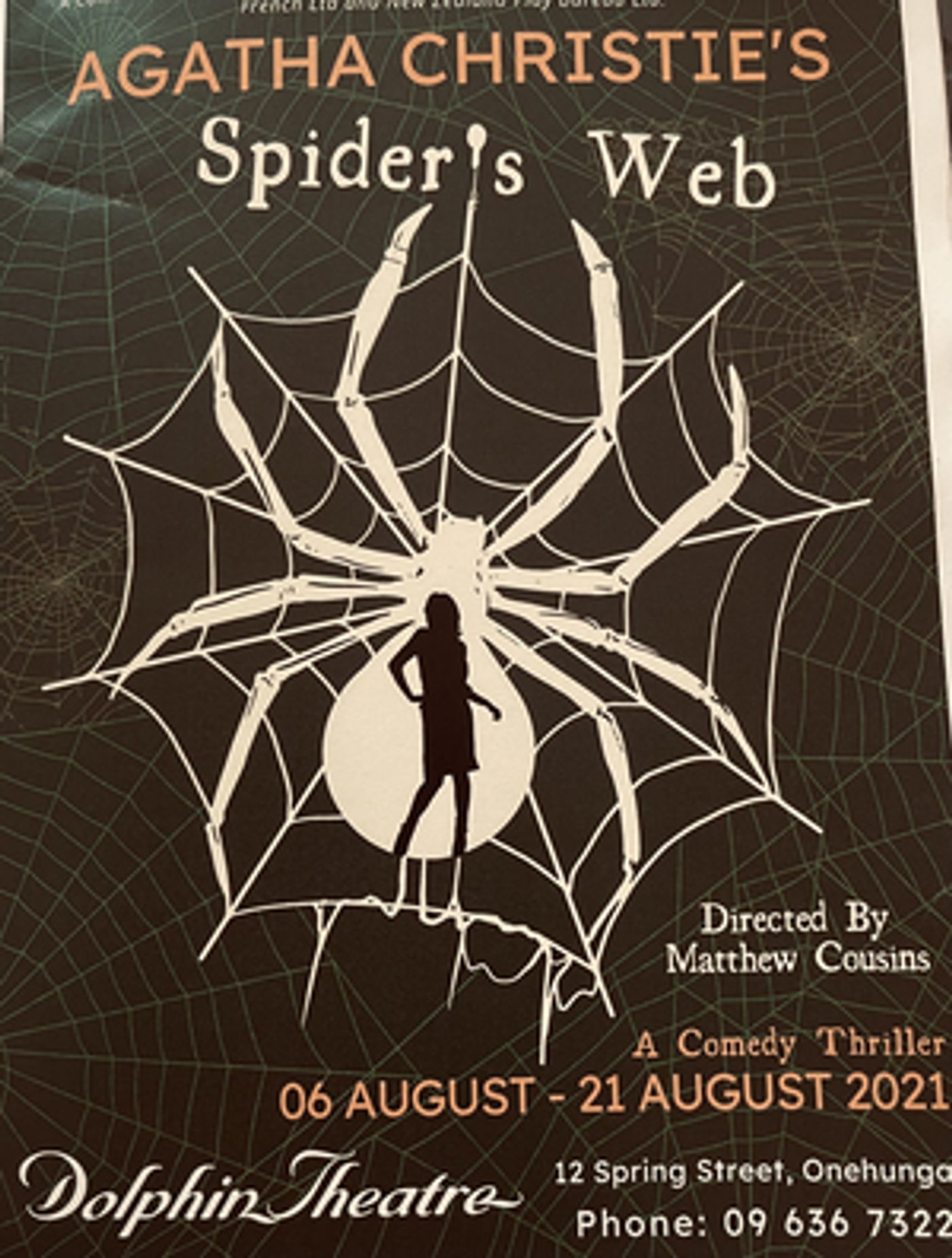 Review: 'SPIDER'S WEB'  at Dolphin Theatre  Image