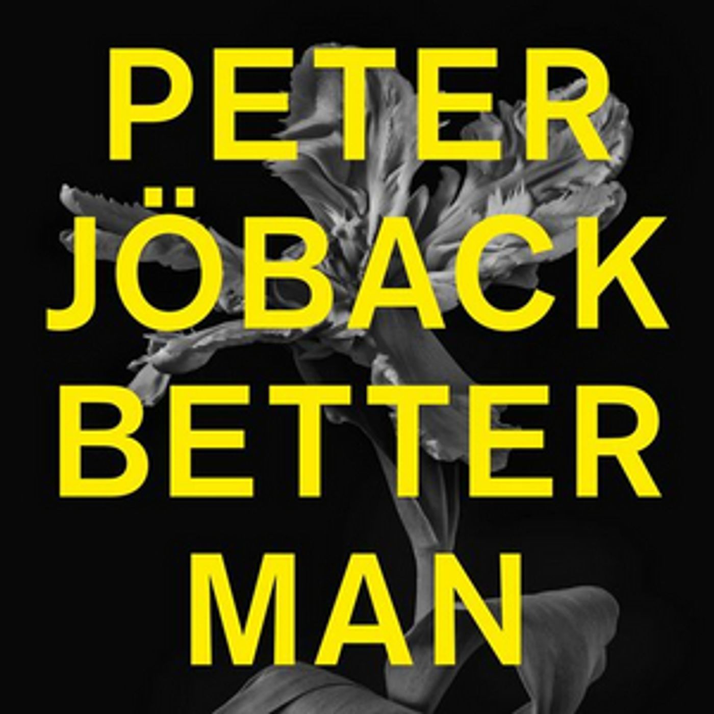 NEW MUSIC FROM PETER JÖBACK will be release the 13th of August  Image