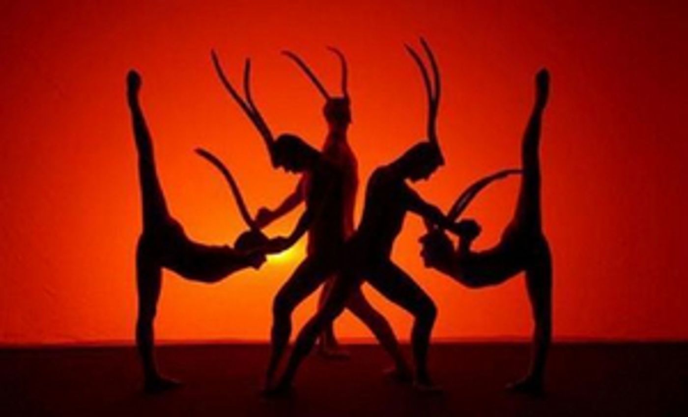 AFRIKANIA Returns to Black Light Theatre Image 9/4 AFRIKANIA Returns to Black Light Theatre Image 9/4 Image