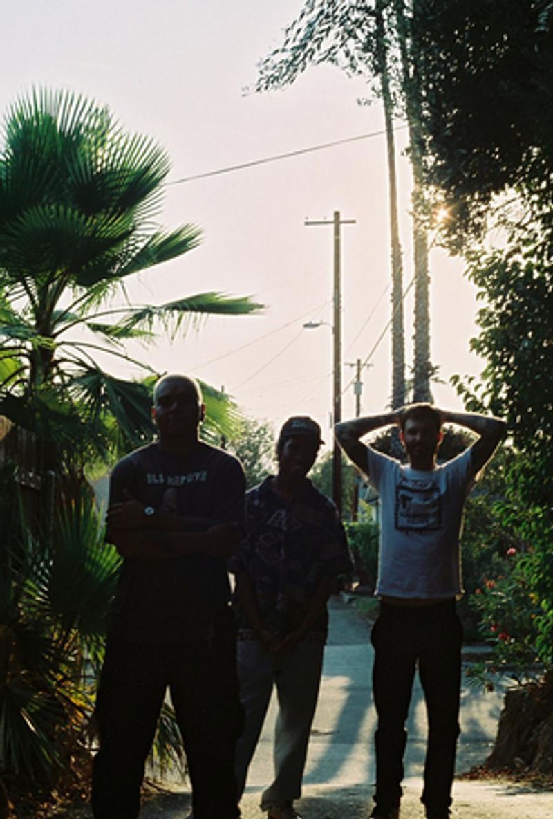 DARE Drops New Single 'Violation of Trust' Image