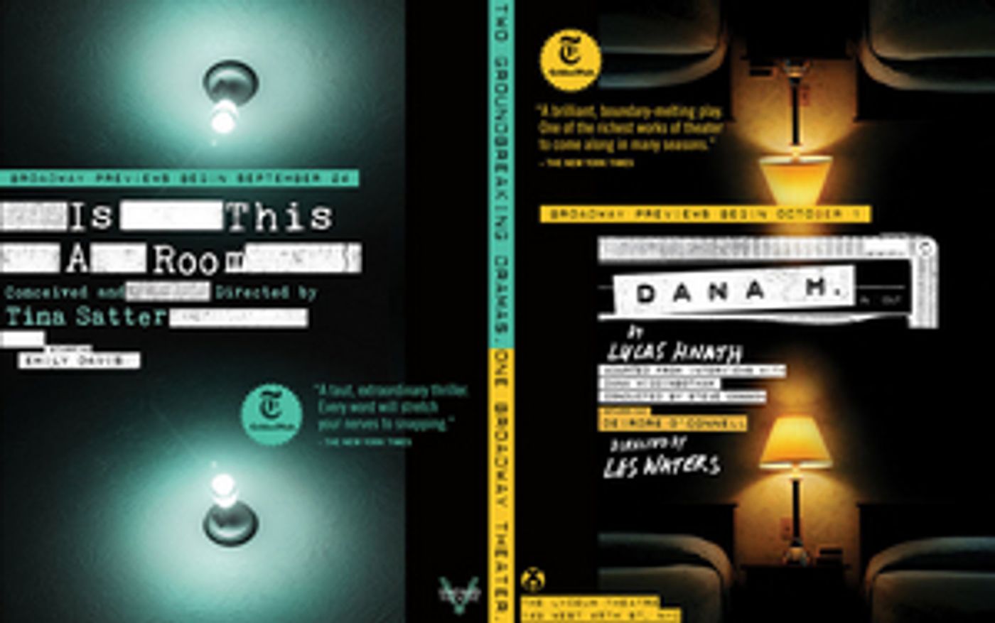 Vineyard Theatre Announces Exclusive Presale for Broadway Engagements of IS THIS A ROOM and DANA H.  Image
