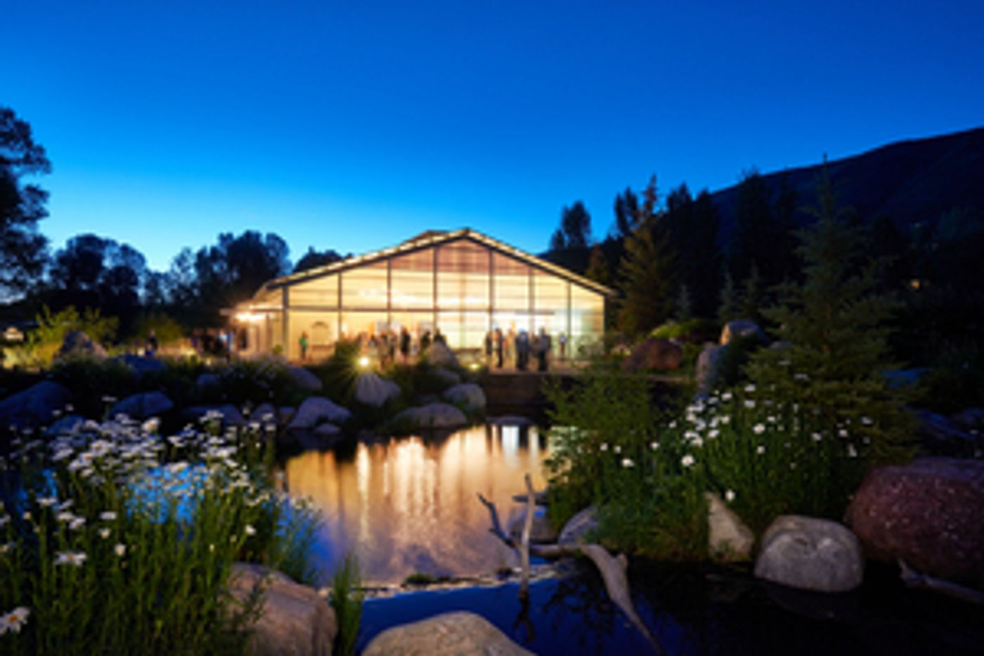 Theatre Aspen to Present Second Annual One-Person Show Festival SOLO FLIGHTS  Image