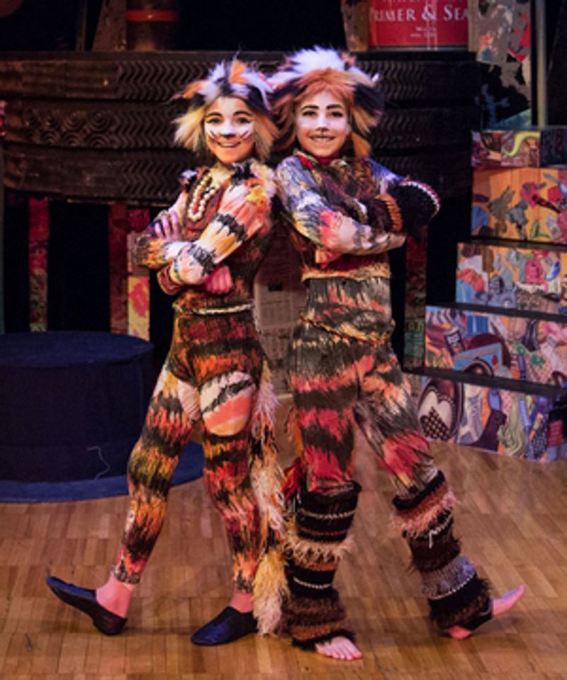 Concord Theatricals Announces One-Hour, Young Actors' Version of CATS Now Available Image