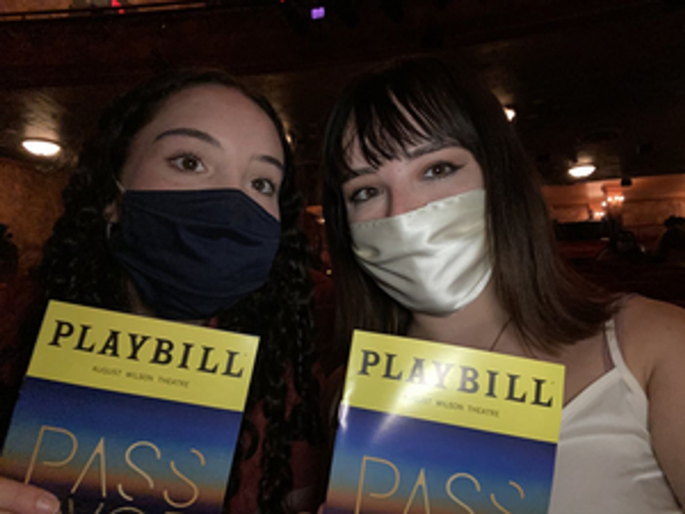 Student Blog: The Brilliance of Pass Over by Antoinette Chinoye Nwandu Student Blog: The Brilliance of Pass Over by Antoinette Chinoye Nwandu Image