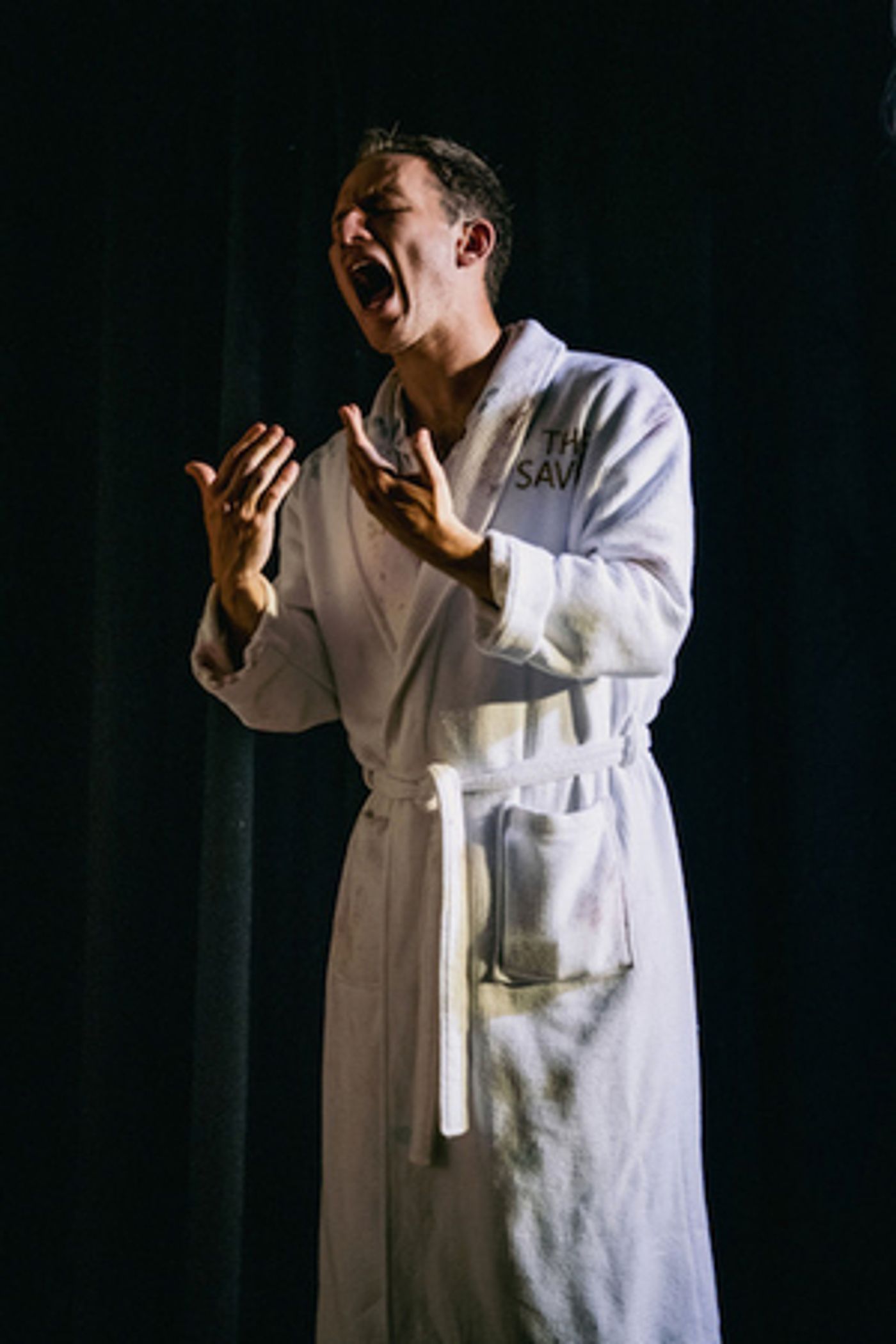 Review: 100 PAINTINGS, Bread & Roses Theatre  Image