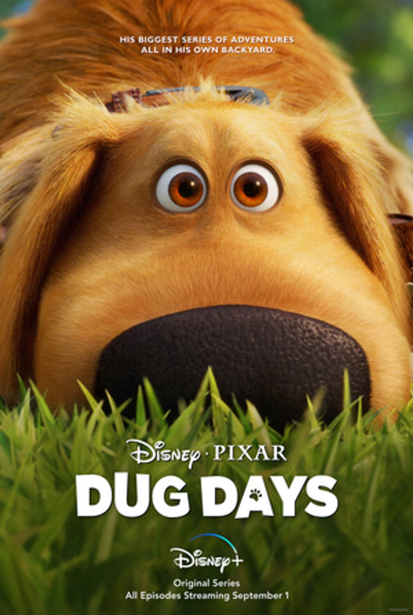 Disney+ Releases Trailer for Pixar's DUG DAYS  Image