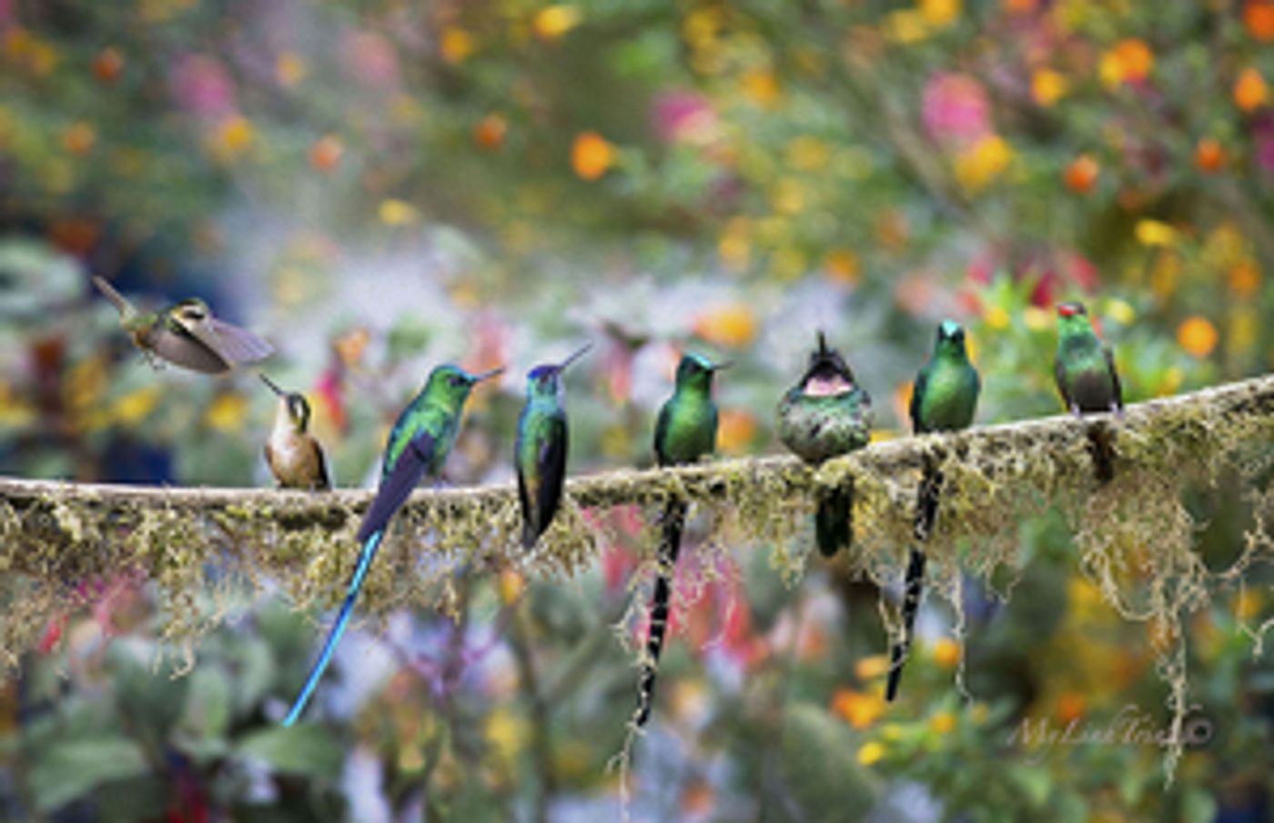 PB PHOTO CENTRE Annual Members' Show Opens September 2  Image