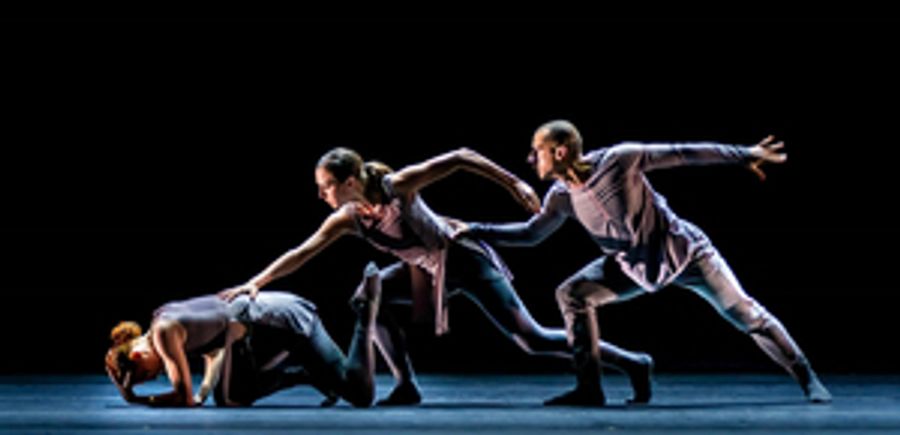 Midwest Trust Center Presents New Dance Partners at Yardley Hall Image
