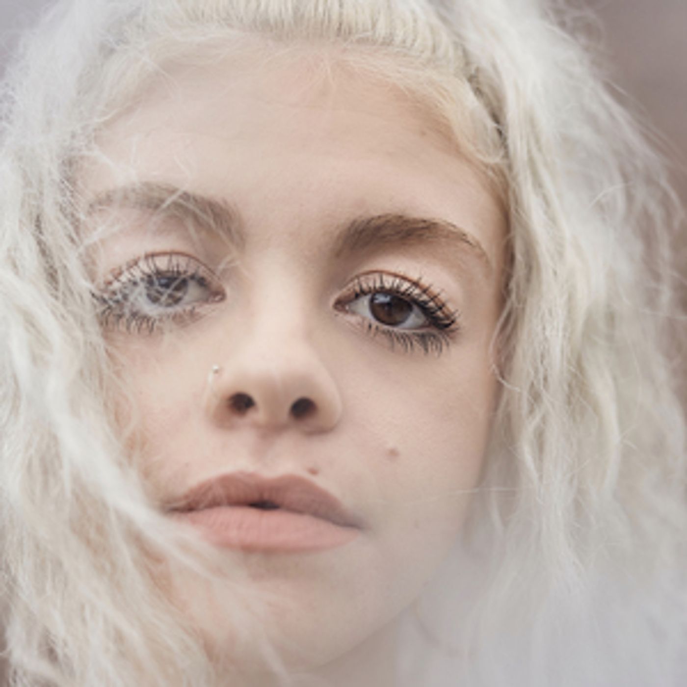 LooseKANONdance Announces FUZE, A Queer Art Experience LooseKANONdance Announces FUZE, A Queer Art Experience Image