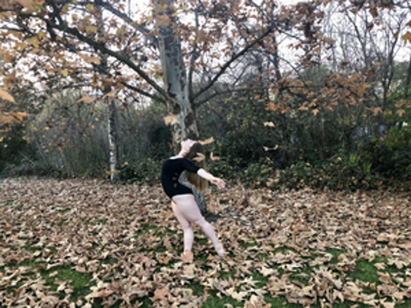 Student Blog: Am I Really as Brave as Everyone Thinks I Am? Student Blog: Am I Really as Brave as Everyone Thinks I Am? Image