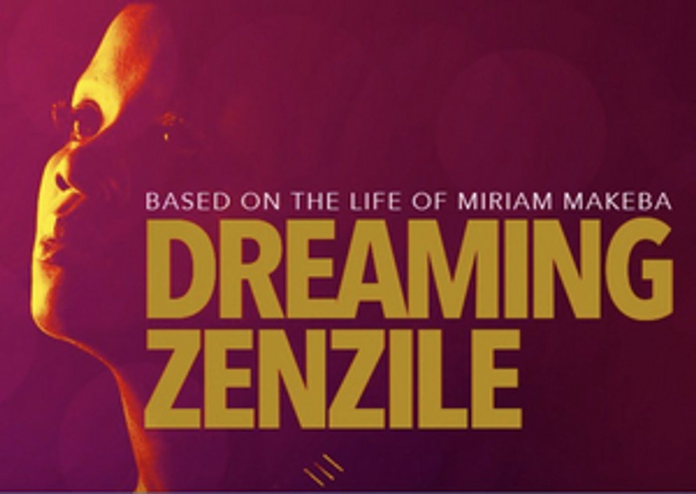 Dreaming Zenzile at St. Louis Rep! Dreaming Zenzile at St. Louis Rep! Image