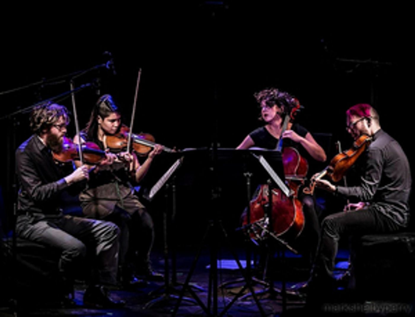 ACME Comes to the Morris Museum This Month  Image