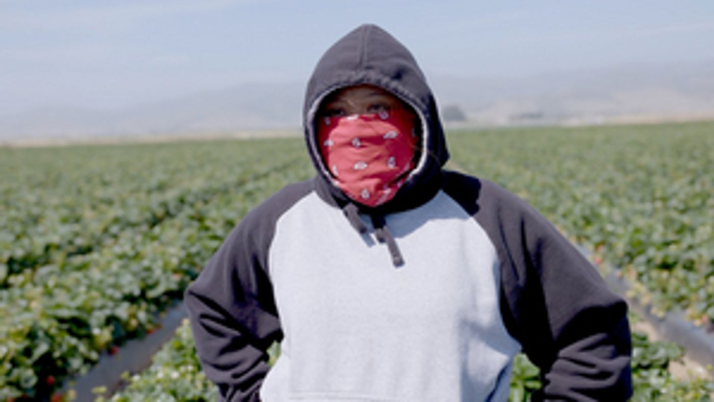 FRUITS OF LABOR Documentary to Have Broadcast Premiere on PBS  Image