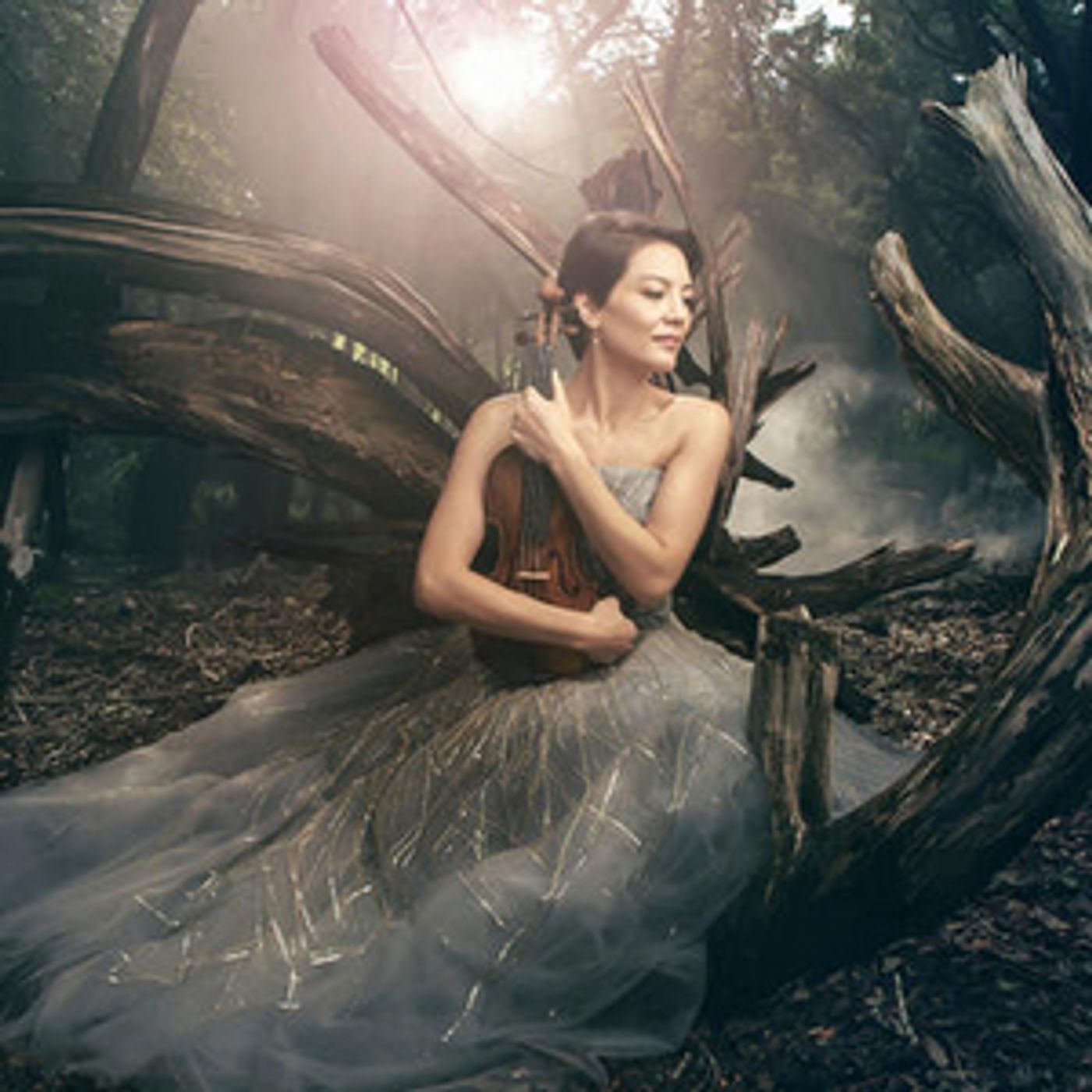 The Wallis Annenberg Center for the Performing Arts Presents  World Premiere Performances by Classical Virtuoso  ANNE AKIKO MEYERS  Image